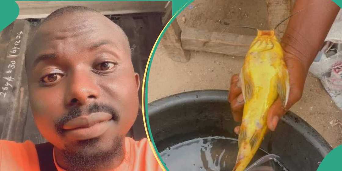 Man catches gold-coloured fish Man catches gold-coloured fish