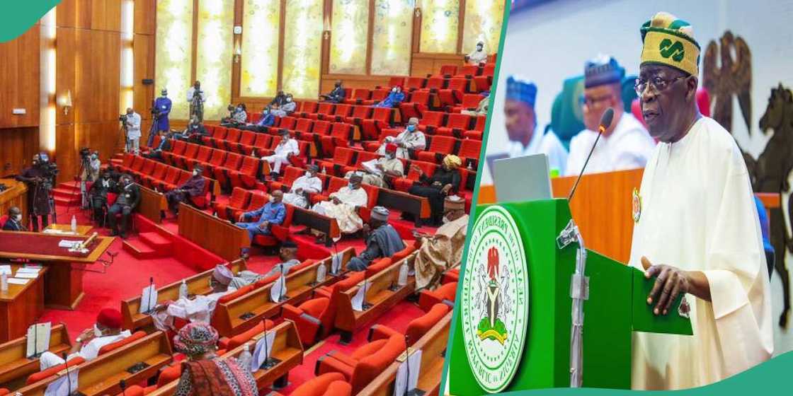 Bola Tinubu Bola Tinubu