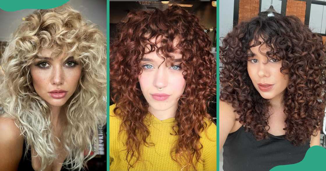 Layered lioness with light brown and caramel highlights Layered lioness with light brown and caramel highlights