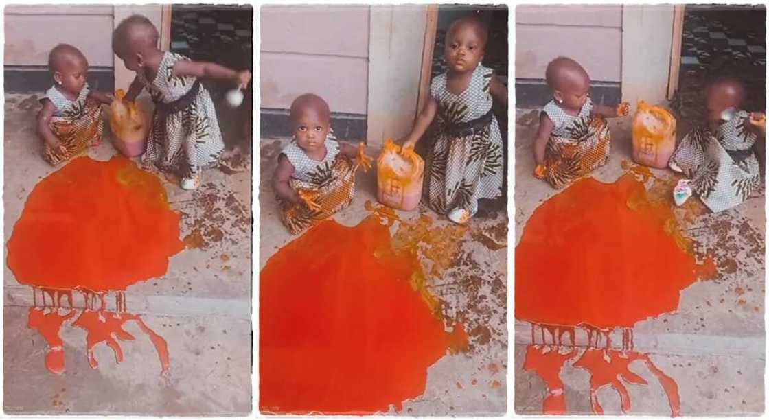 Photos of twin babies who spilt their mother's palm oil. Photos of twin babies who spilt their mother's palm oil.