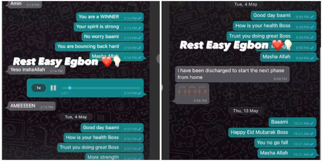 Small Doctor Small Doctor