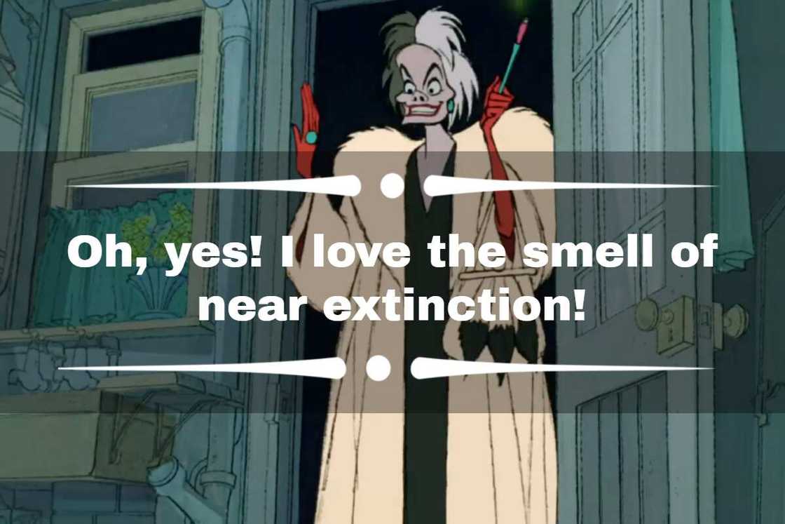 cruella quotes