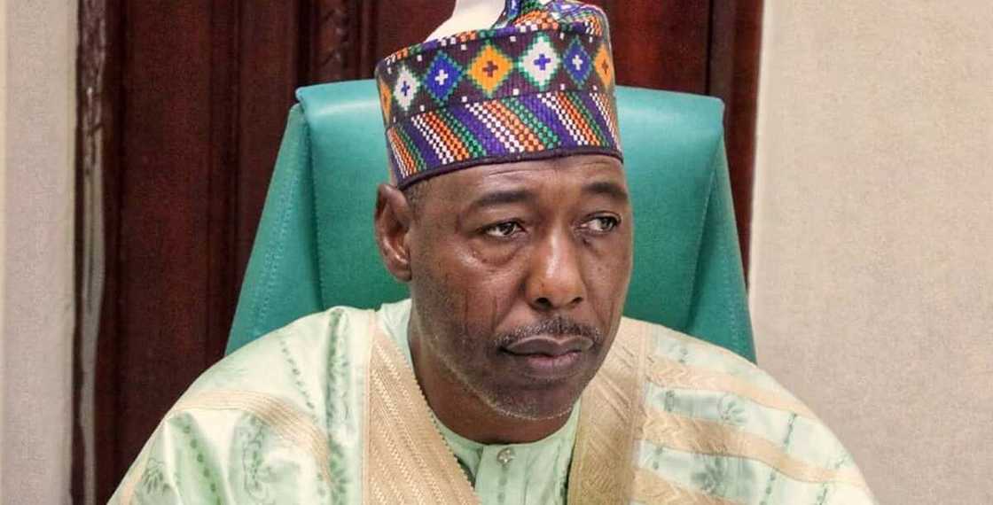 Gwamnonin arewa maso gabas sun bukaci a basu damar gurfanar da 'yan ta'adda Gwamnonin arewa maso gabas sun bukaci a basu damar gurfanar da 'yan ta'adda