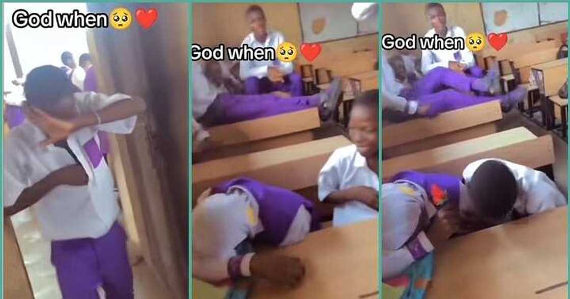 Boy gives classmate flower on Valentine's day Boy gives classmate flower on Valentine's day