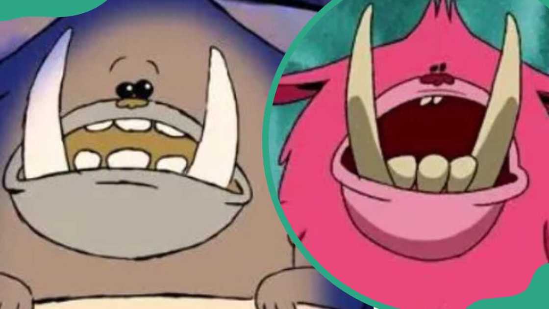 Kiwi from Chowder Kiwi from Chowder