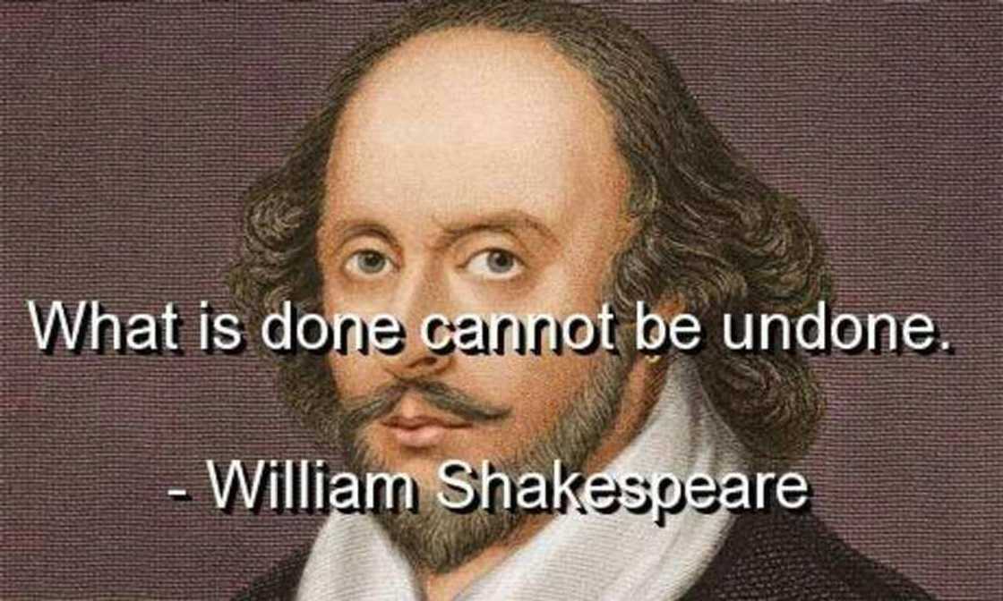 shakespeare quote shakespeare quote