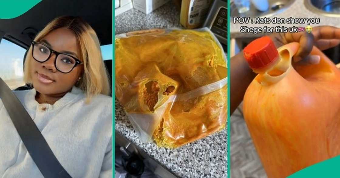 Lady in UK cries over rats Lady in UK cries over rats