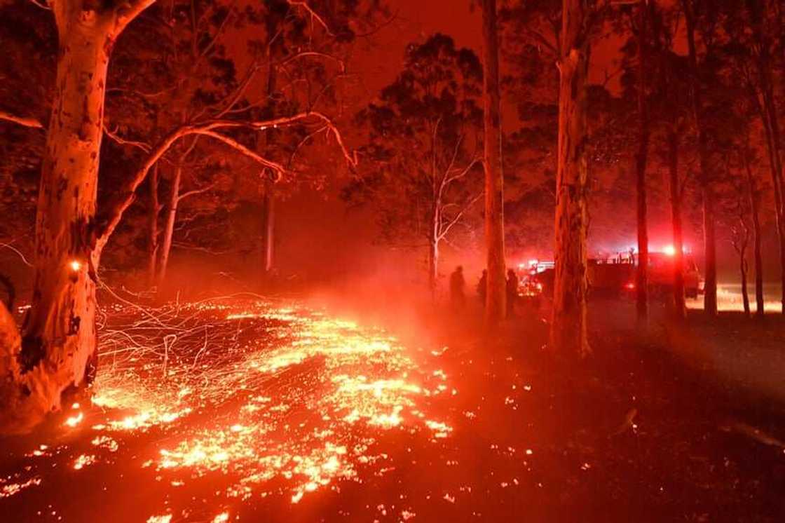 Skies turn blood red in Australia as massive bush fires rage on Skies turn blood red in Australia as massive bush fires rage on