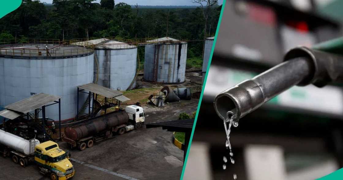 Cheap Dangote petrol threatens importers businesses in fuel supply.