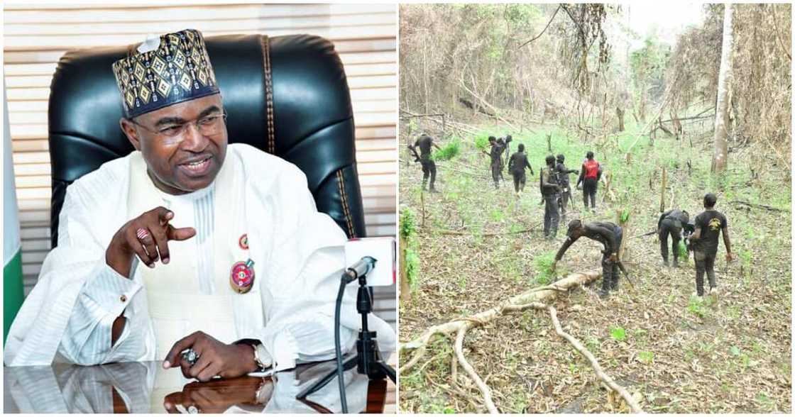 NDLEA recruitment/ NDLEA releases name/ NDLEA shortlisted candidates/ NDLEA NDLEA recruitment/ NDLEA releases name/ NDLEA shortlisted candidates/ NDLEA