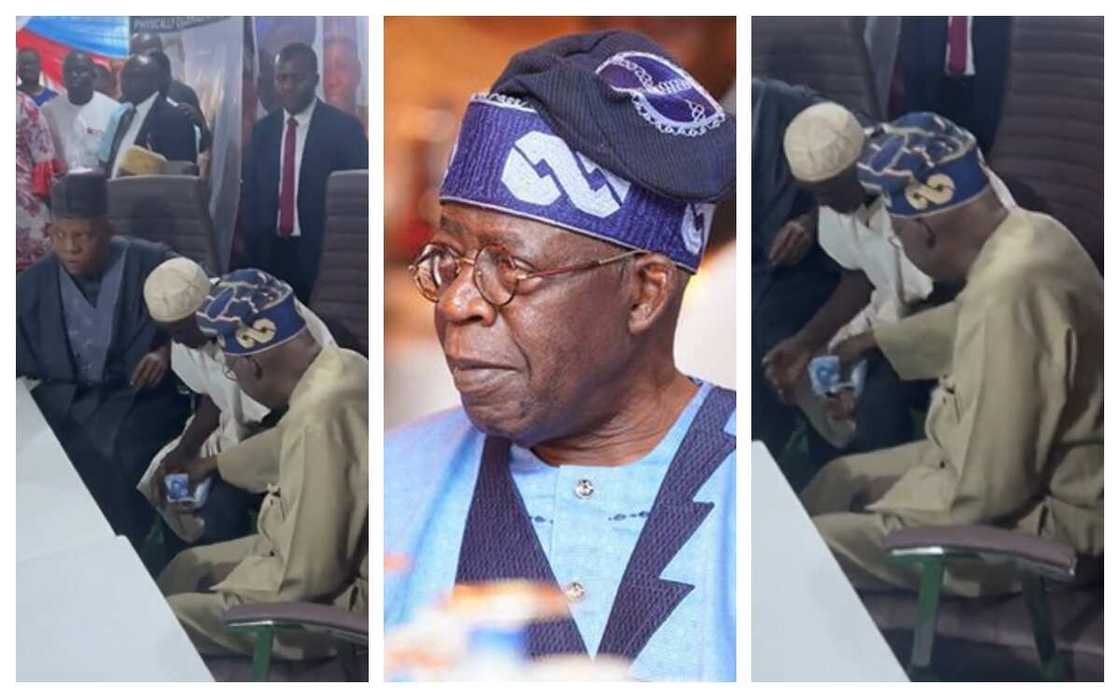 Bidiyon Tinubu na ba wani dattijo kudi