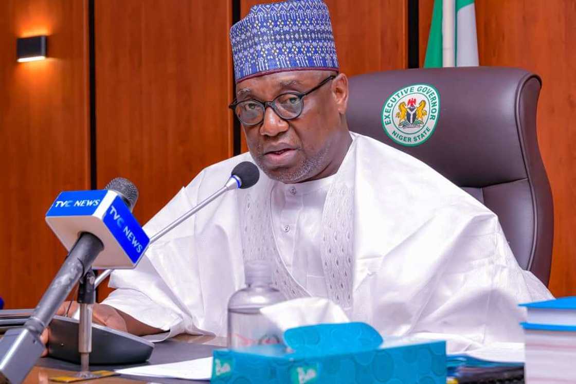 2023 election, Niger state 2023 election, Niger state