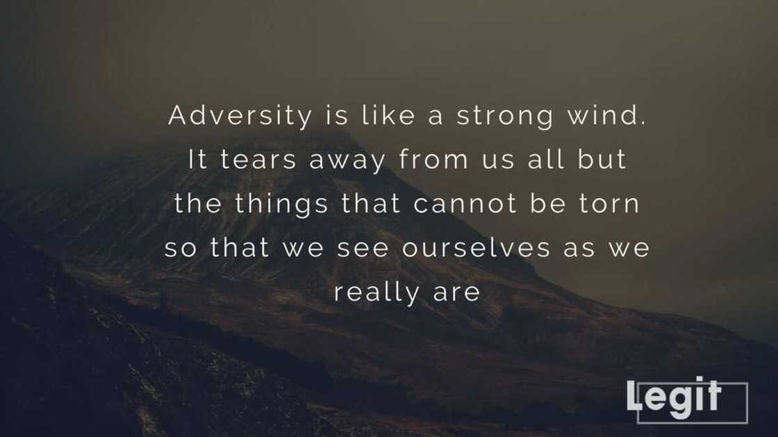 you are strong quotes you are strong quotes