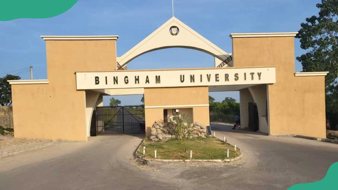 Bingham University