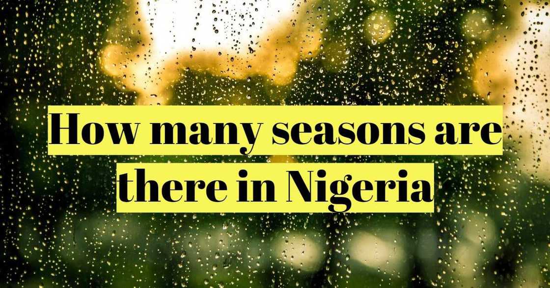 How many seasons are there in Nigeria How many seasons are there in Nigeria