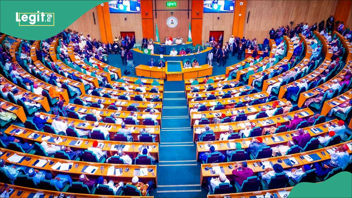 Reason emerges as Reps withdraw compulsory voting bill