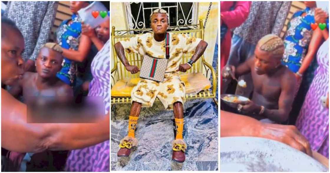 Portable Zazu, food Portable Zazu, food