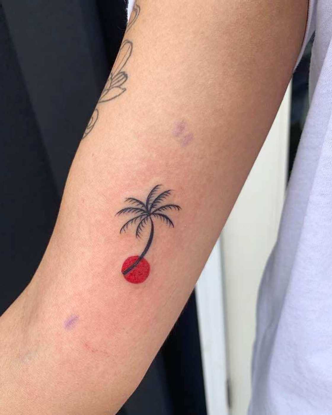 palm tree tattoo