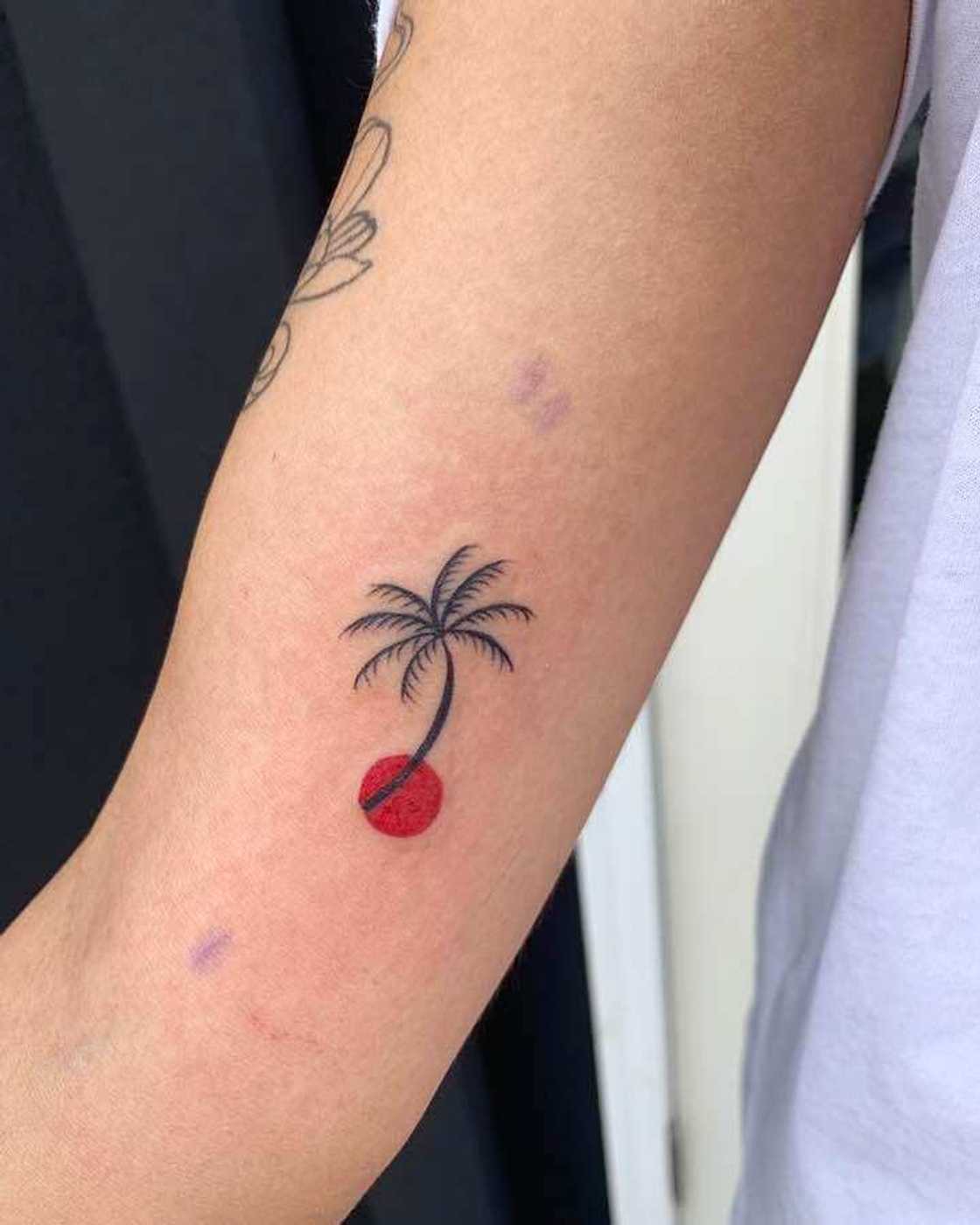 palm tree tattoo palm tree tattoo