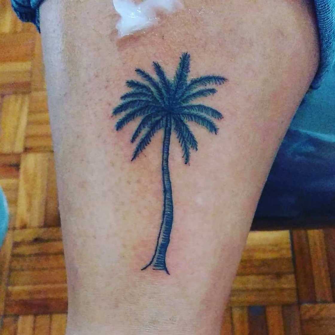 palm tree tattoo design ideas