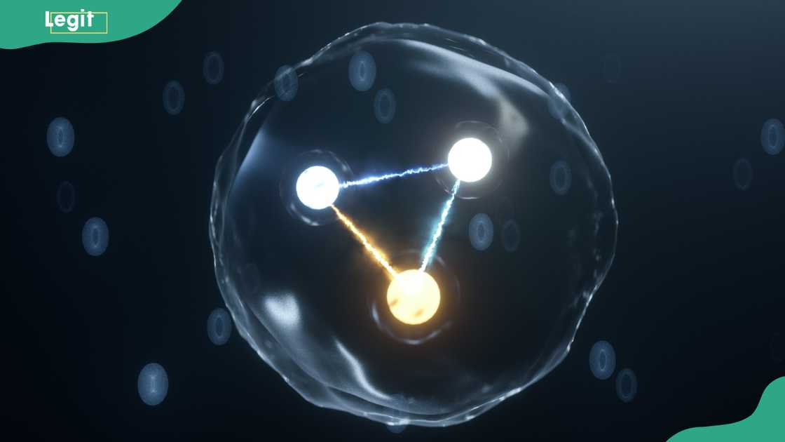 Theoretical physics quark and gluon subatomic simulation. Theoretical physics quark and gluon subatomic simulation.