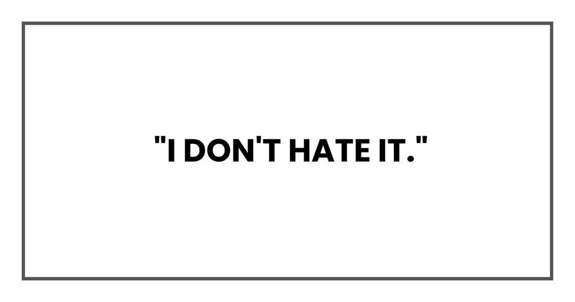 "I don't hate it."