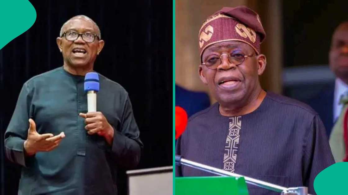 APC chieftain praises Tinubu’s economic leadership and security management across Nigeria.
