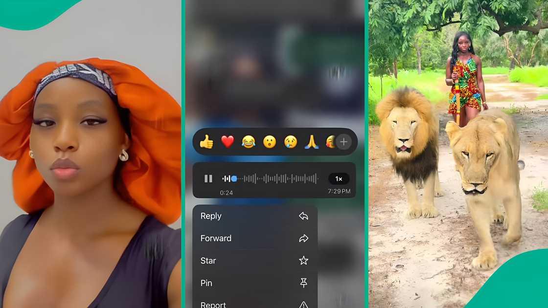 Father warns daughter over safari video ‘chilling’ with lions