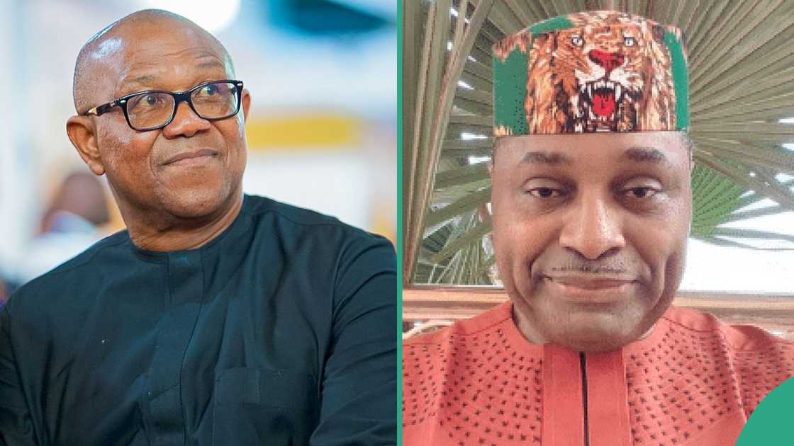 LP crisis worsens as Kenneth Okonkwo speaks on betrayal, chides Peter Obi LP crisis worsens as Kenneth Okonkwo speaks on betrayal, chides Peter Obi