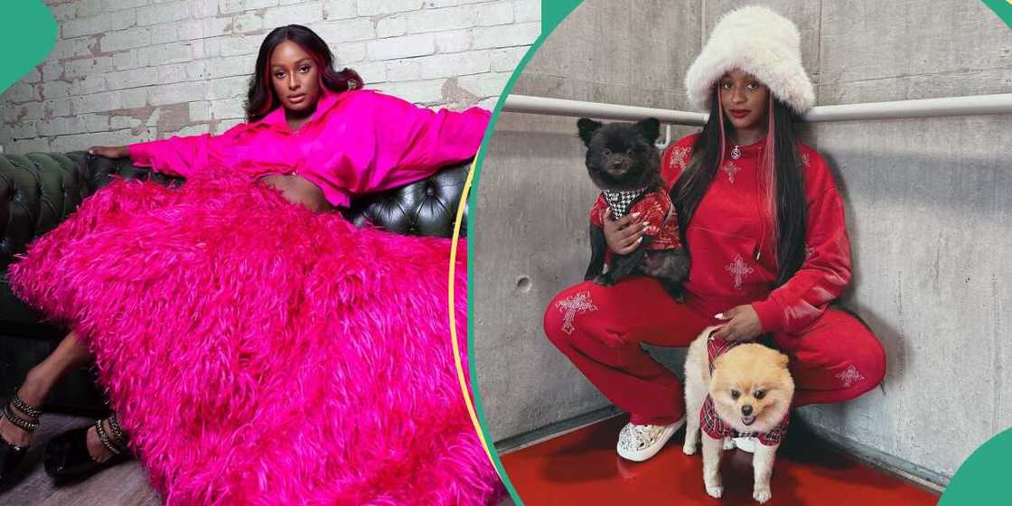 DJ Cuppy and her dogs DJ Cuppy and her dogs