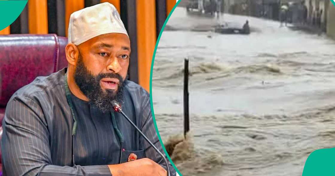 Gwamna Bago. Gwamna Bago.