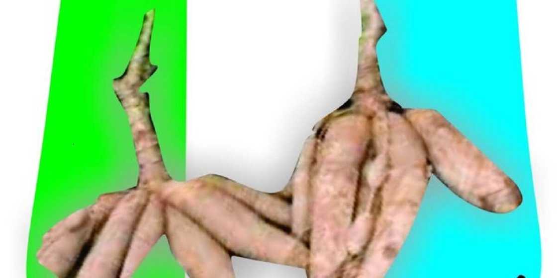 Jam'iyyar APM. Jam'iyyar APM.