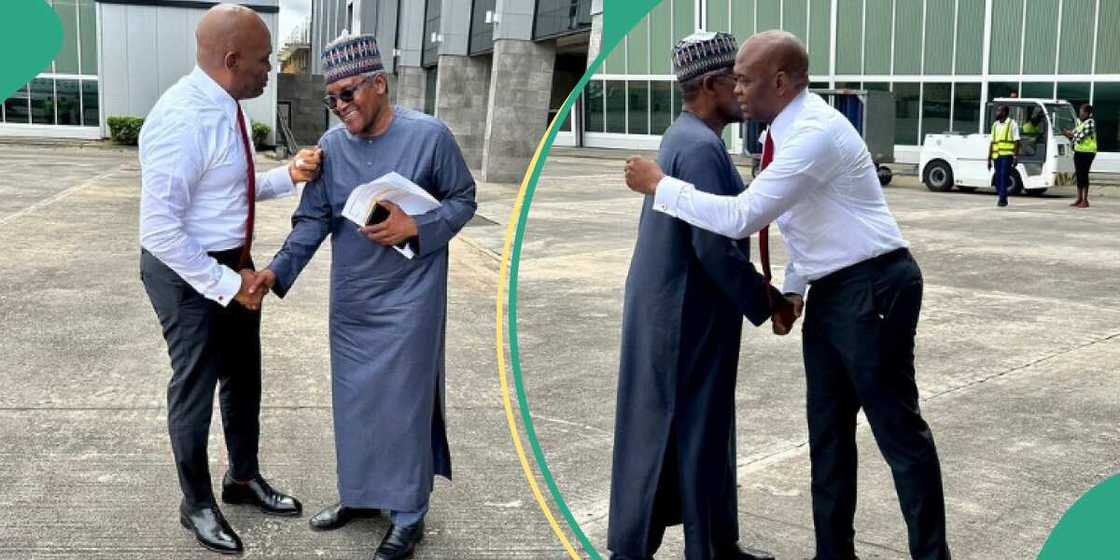 Tony Elumelu and Aliko Dangote.