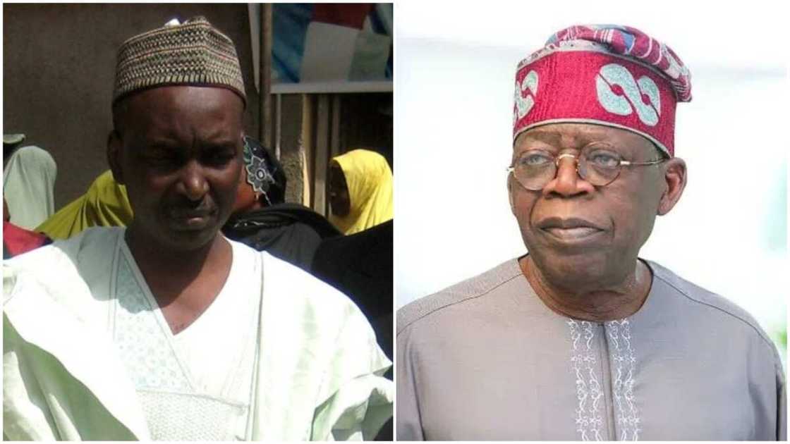 Tinubu Speaks with Me after I Resigned as DG of APC Governors' Forum, Salihu Lukman Says