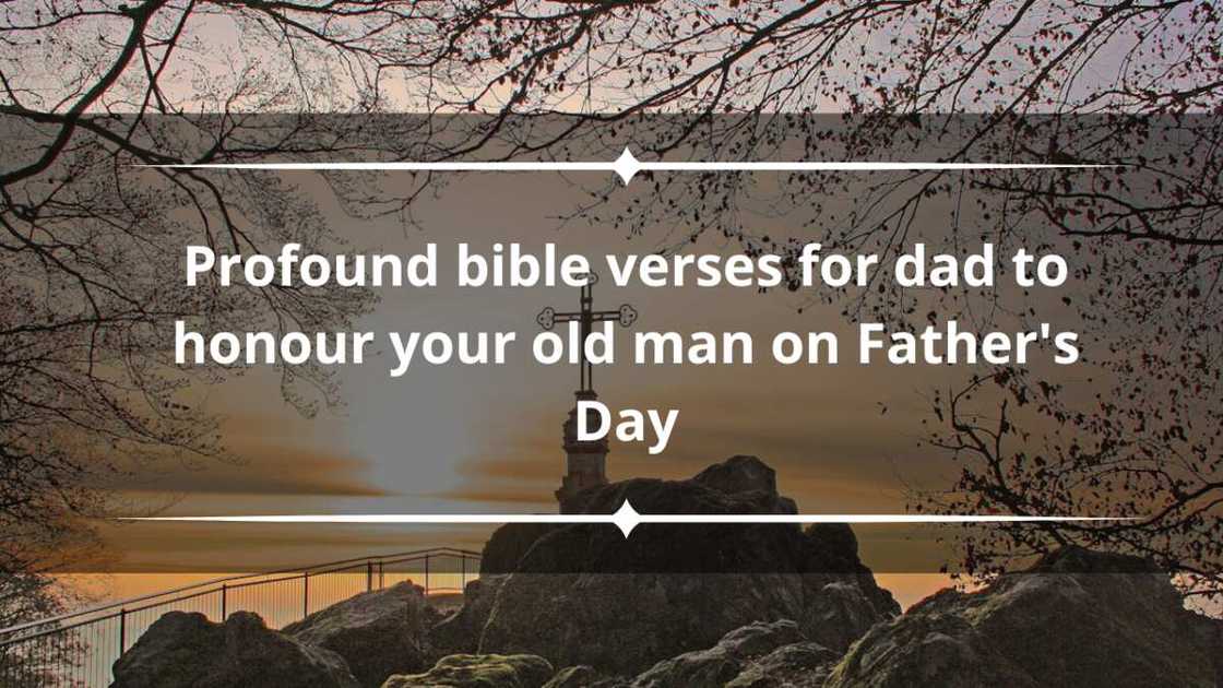 25+ profound bible verses for dad to honour your old man on Father's ...