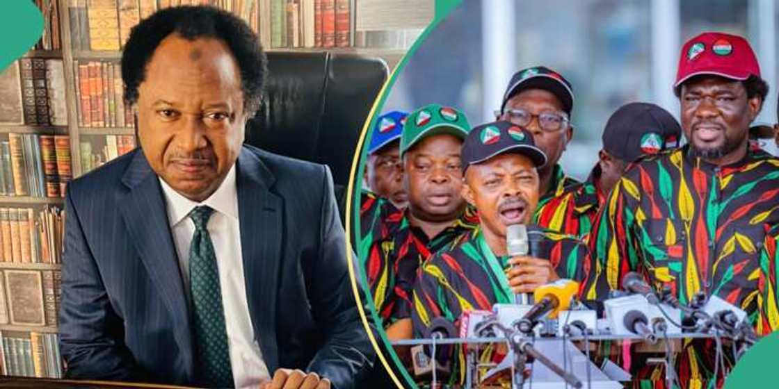 Shehu Sani ya yi fashin baki kan mafi karancin albashi N62,000 Shehu Sani ya yi fashin baki kan mafi karancin albashi N62,000