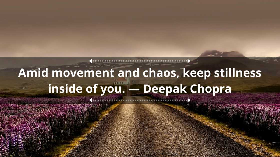 Mindfulness quotes for students Mindfulness quotes for students