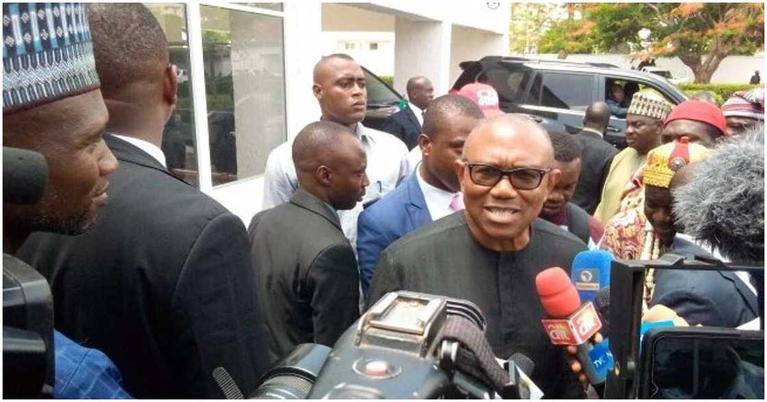 2023 election, Peter Obi, APC, Neda Imasuen, the candidate of Labour Party (LP) for Edo South Senatorial District 2023 election, Peter Obi, APC, Neda Imasuen, the candidate of Labour Party (LP) for Edo South Senatorial District