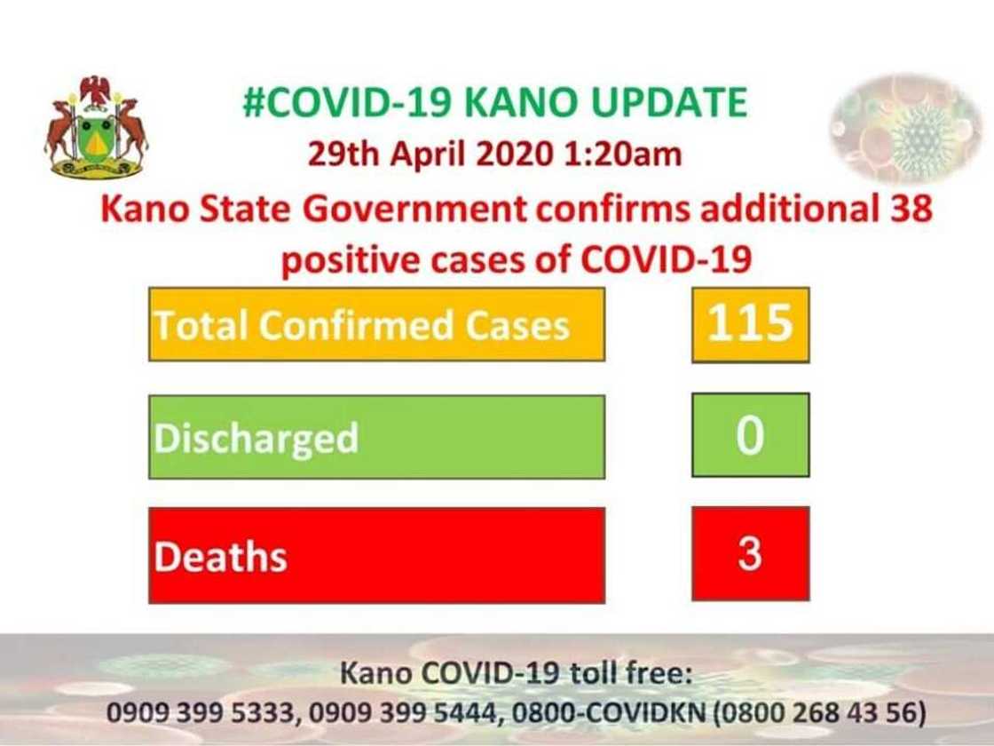 Adadin masu cutar Coronavirus a Kano sun kai 115 bayan samun mutane 38 da suka kamu Adadin masu cutar Coronavirus a Kano sun kai 115 bayan samun mutane 38 da suka kamu