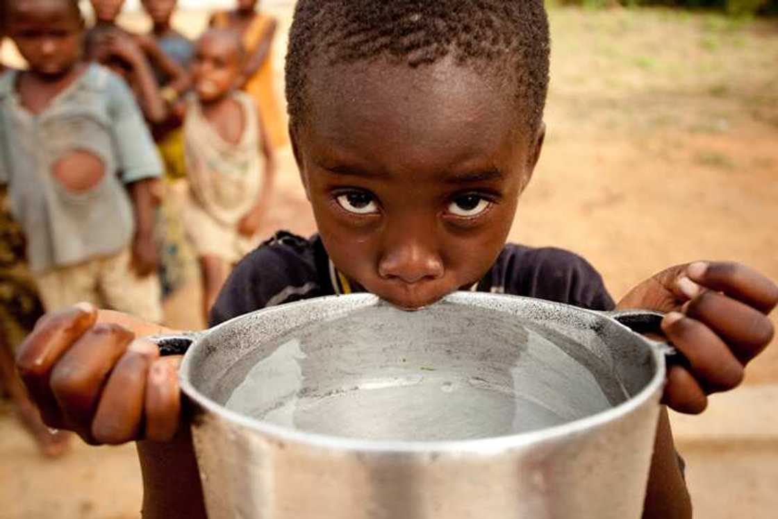 10 points on importance of water 10 points on importance of water