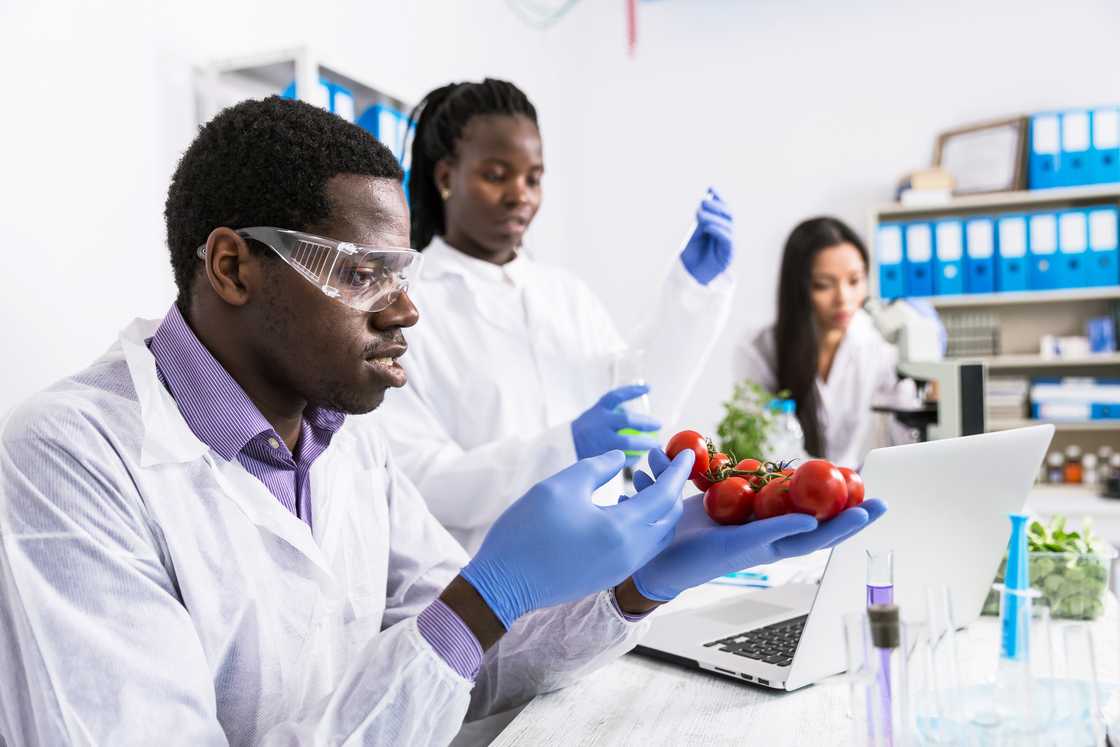 A student examining specimen at a laboratory