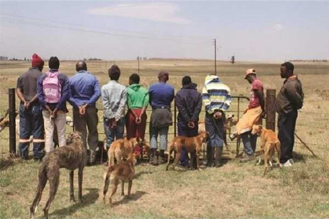 An kama mafarauta 3 'yan Najeriya a Nijar An kama mafarauta 3 'yan Najeriya a Nijar