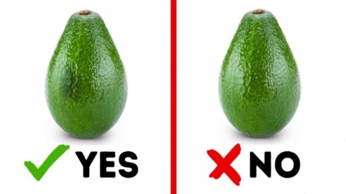 How to eat avocado in a right way How to eat avocado in a right way