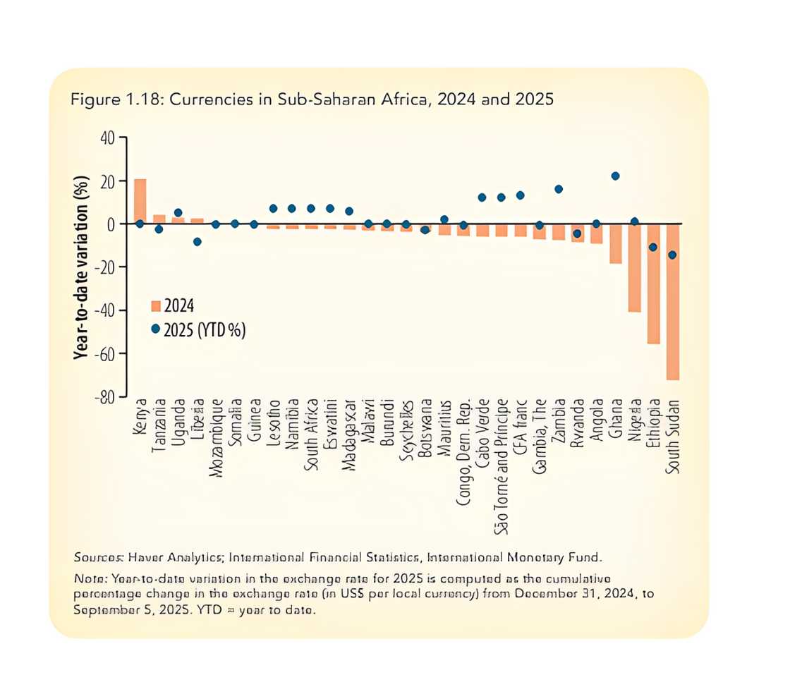 Naira now among strongest African currencies Naira now among strongest African currencies