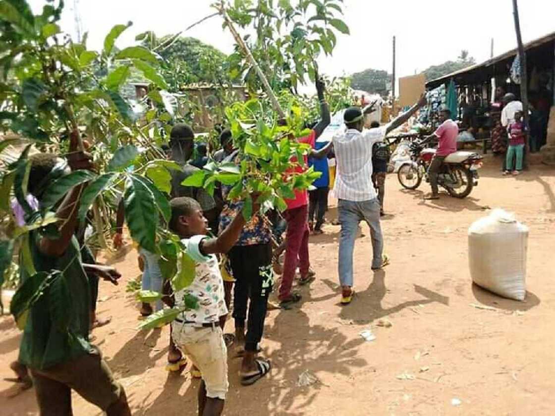 A dawo mana da mazakutarmu: Hotunan fusatattun matasa suna zanga-zanga a Benue