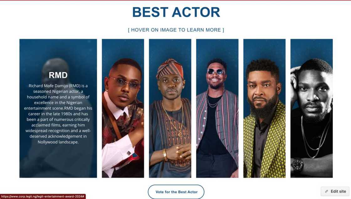 Legit.ng, entertainment awards, voting steps