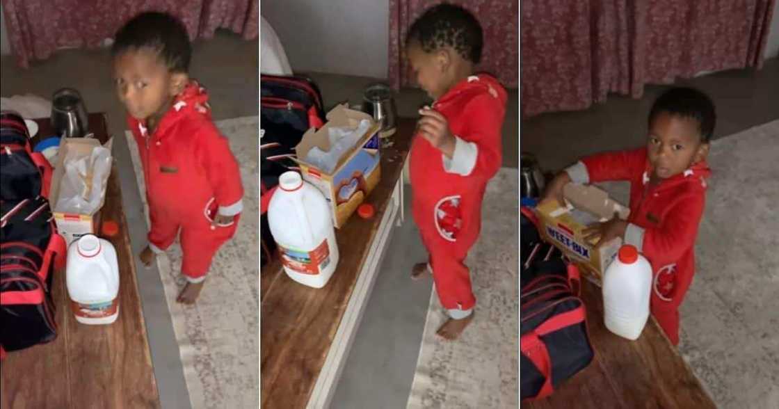 This is Lovely: Many React to Video of Adorable 2-Year-Old Boy Making Mum Breakfast at 3am