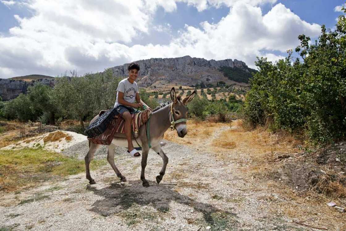 A youth rides a donkey in the Tunisian town of Djebba A youth rides a donkey in the Tunisian town of Djebba