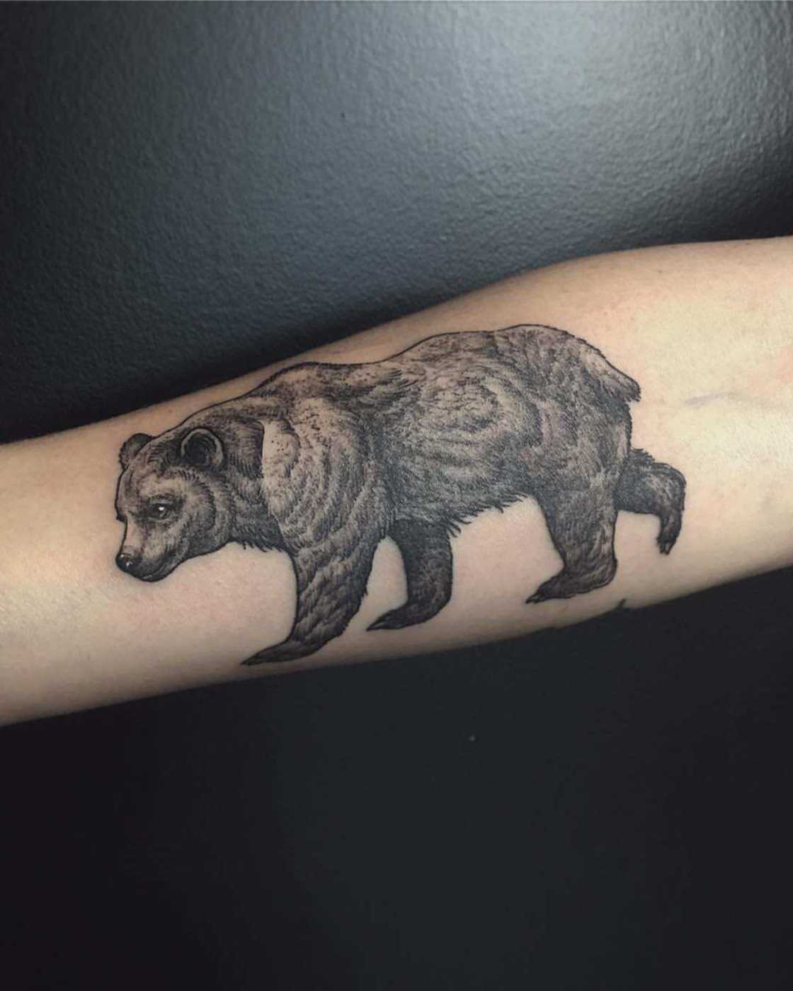 bear tattoo bear tattoo