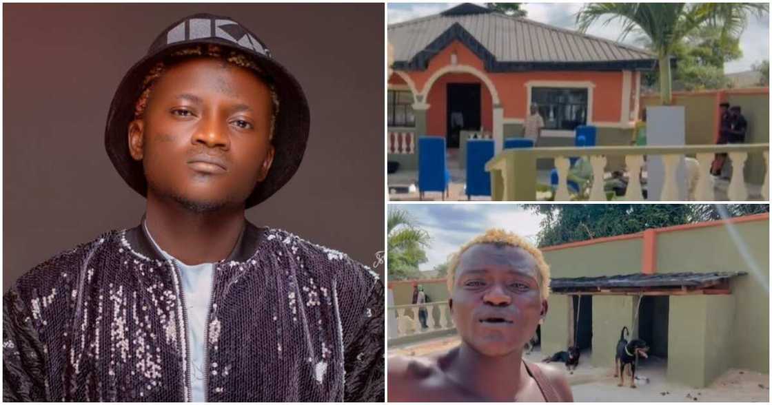 Portable Zazu Portable Zazu